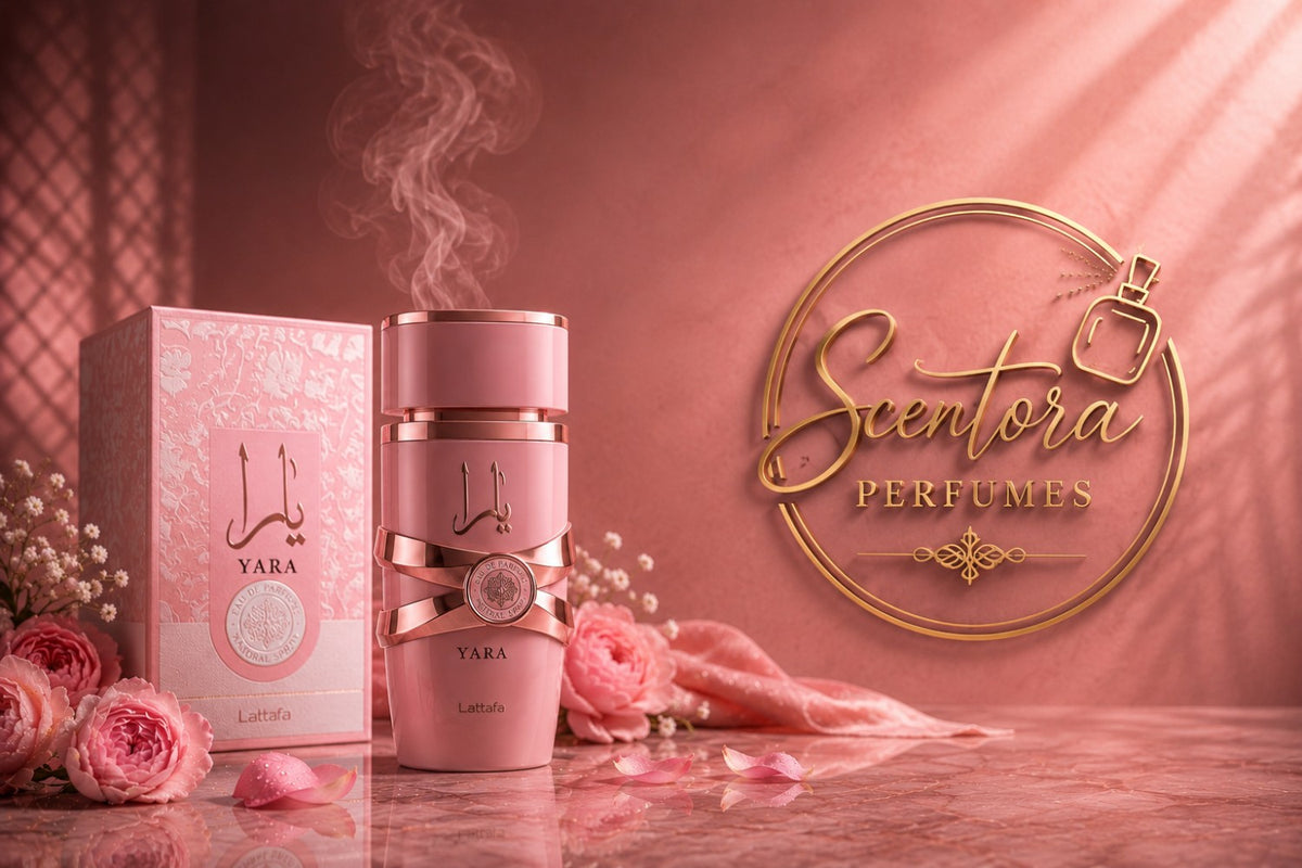 Discover curated elegance.